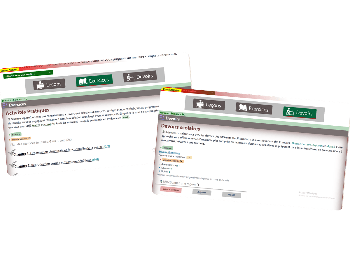 Exercices Pratiques et Devoirs
